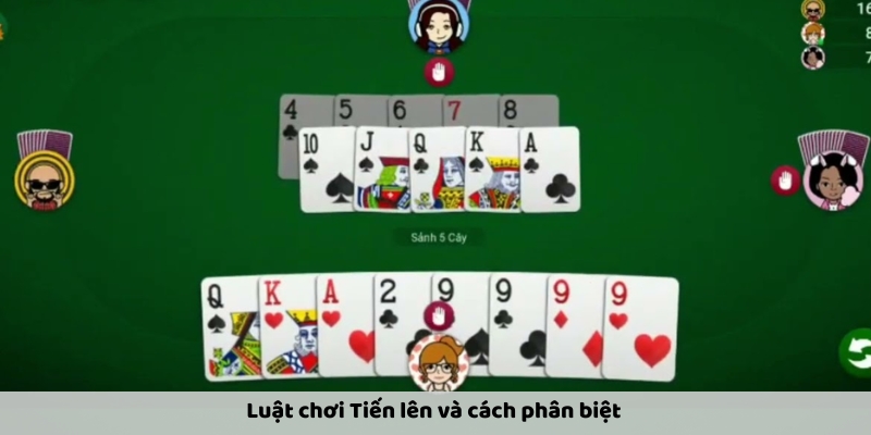 Luật chơi tiến lên đếm lá luôn thắng 